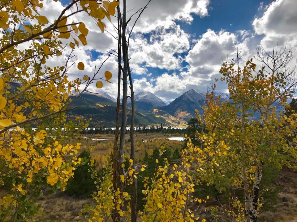 Fall photo
